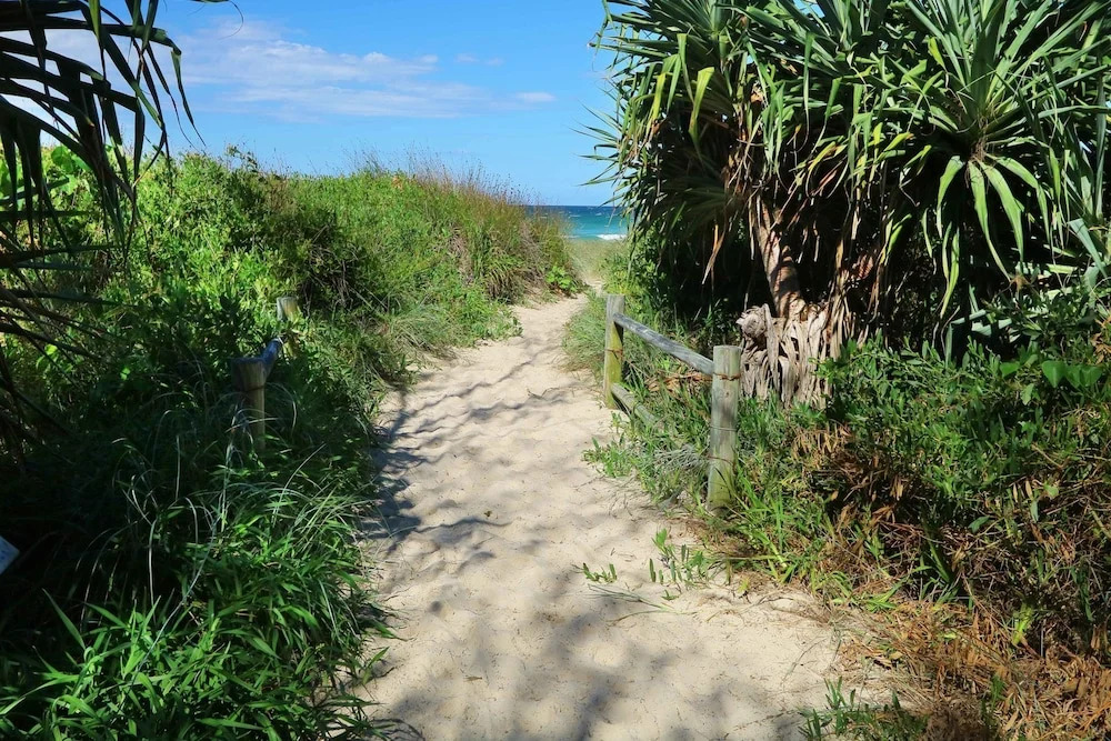 Casuarina Beach Haven - Pandanus 6
