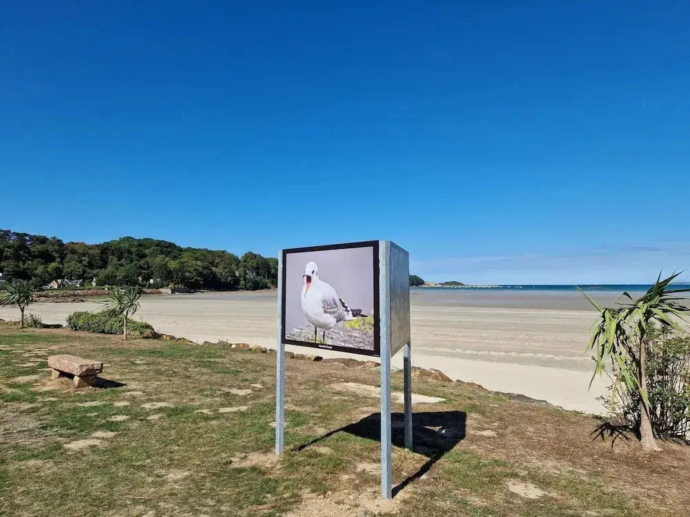 Premium Holiday Home Close to the Coast