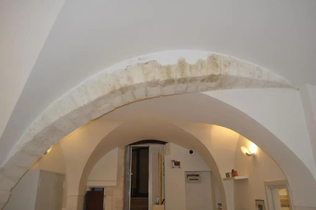 Latorreangioina