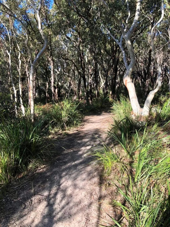 The Husky House 1 bedroom or 2 bedroom or The Husky Studio Suite stayinjervisbay com