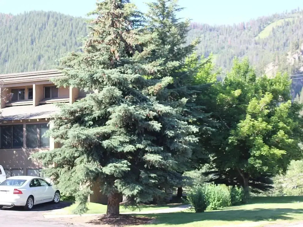 Sv113 - Walk to Lifts & Town - Hot Tub & Pool