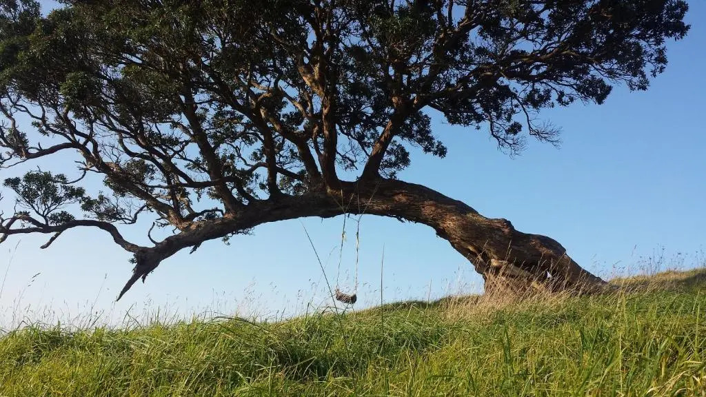 Waiheke Island Guesthouse