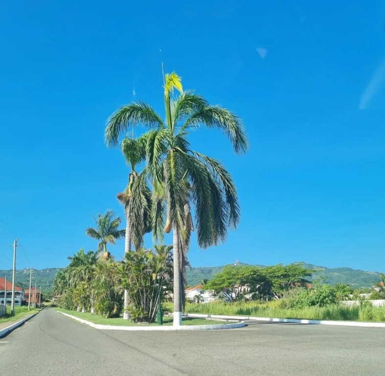 Modern 3 Bed Sea View Retreat St Anns Ocho Rios