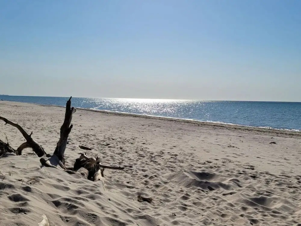 Hustadt in the Heart of Zingst