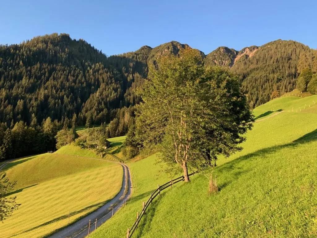 Tradlhof