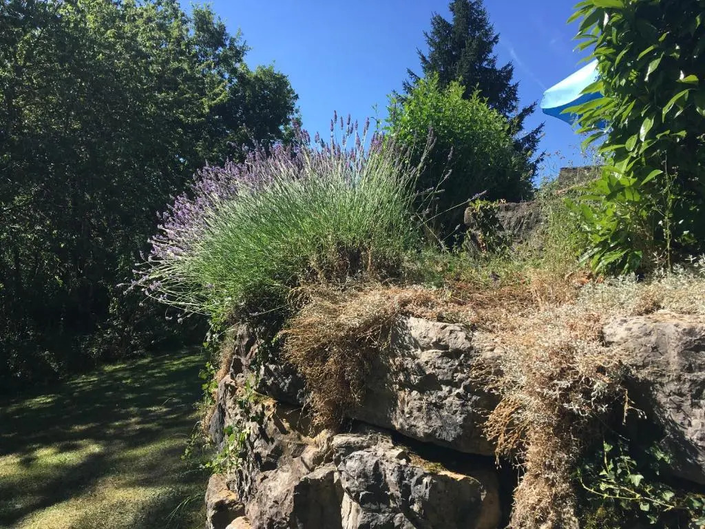 Gîtes La Source