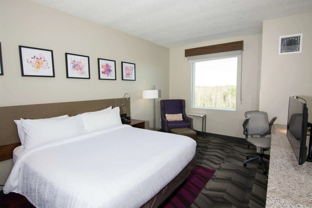 Hilton Garden Inn Tampa Suncoast Parkway