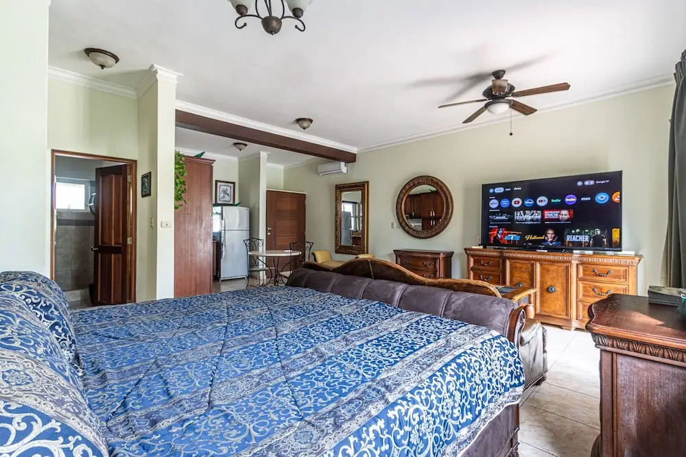 8203 - King, Ocean Dream, Cabarete