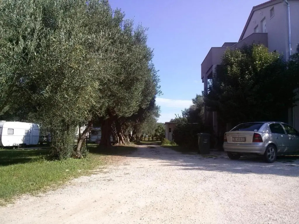 Apartments Maslina