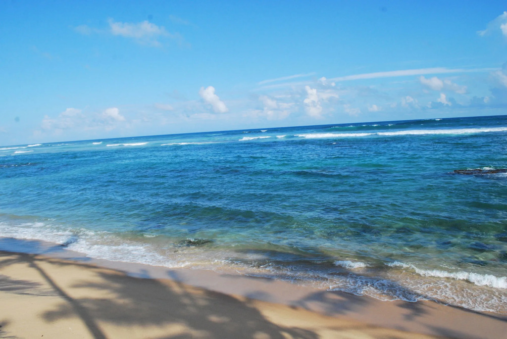 Beach House