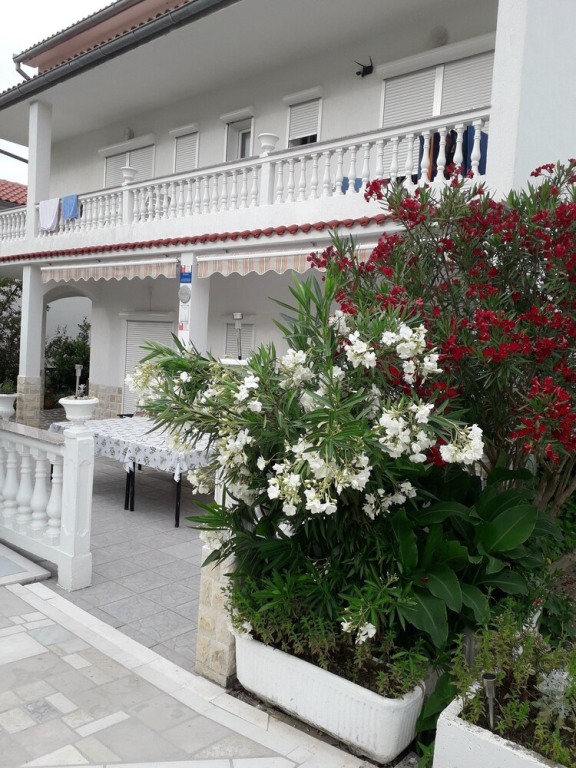 The Location of the House is on an Island Rab , Tourist Resort Mali Palit,