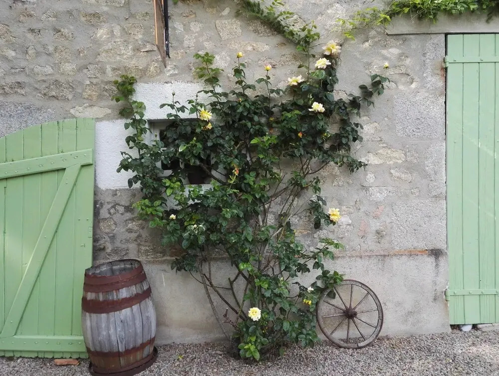 Maison Jarso