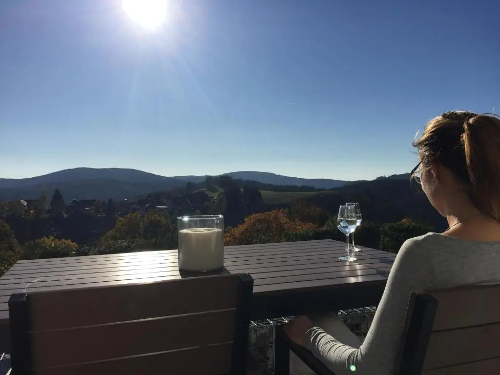 Linas Ferienwohnungen - zwei moderne FeWos mit Sauna im Haus und fantastischem Ausblick