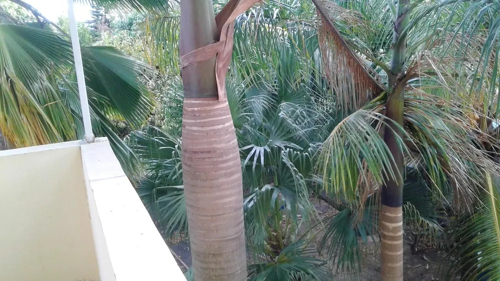 Apartment With 3 Bedrooms in Trou aux Biches, With Wonderful sea View,