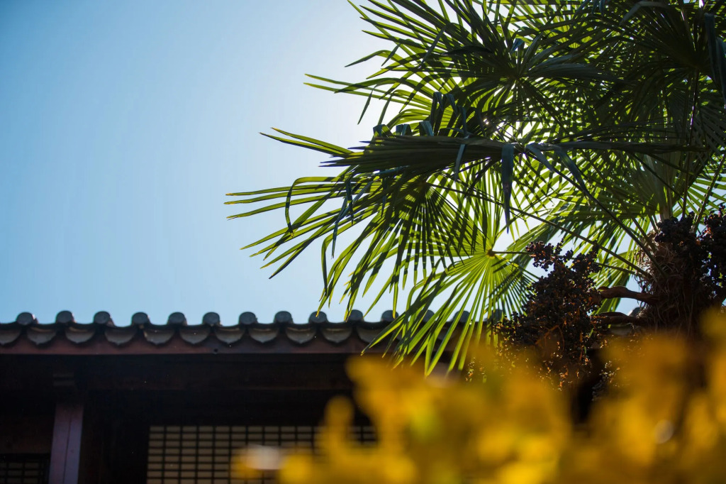 Jun Bo Xuan Boutique Hotel