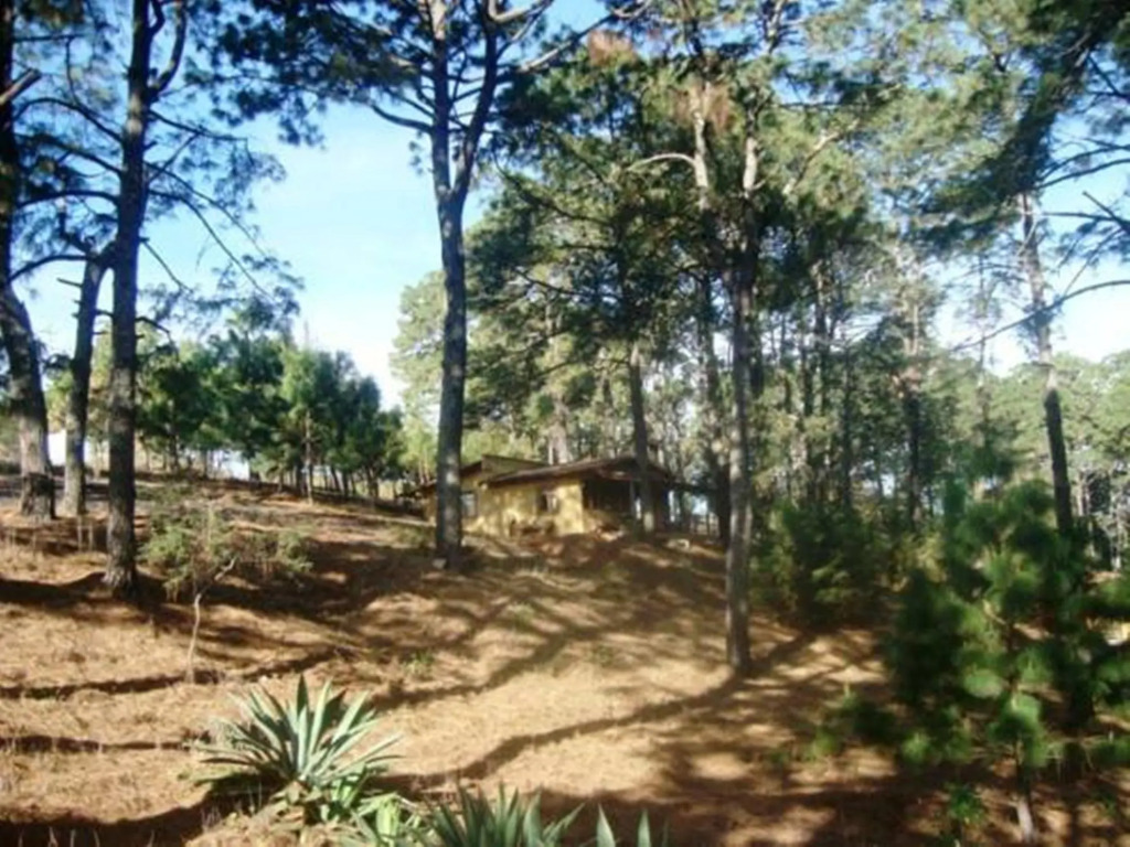 Cabañas El Pinar