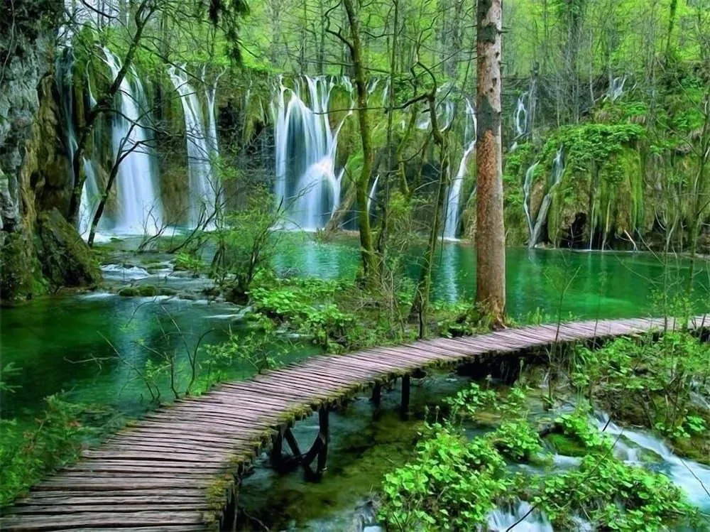 Plitvice Falls Cottage - Luxury rooms & Dinner