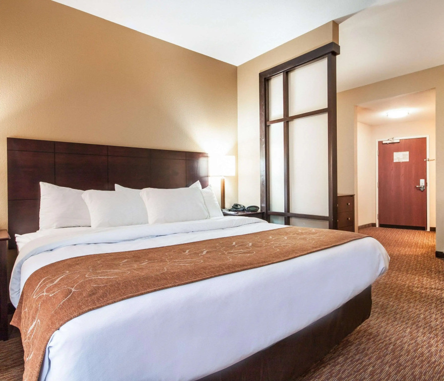 Comfort Suites Pecos