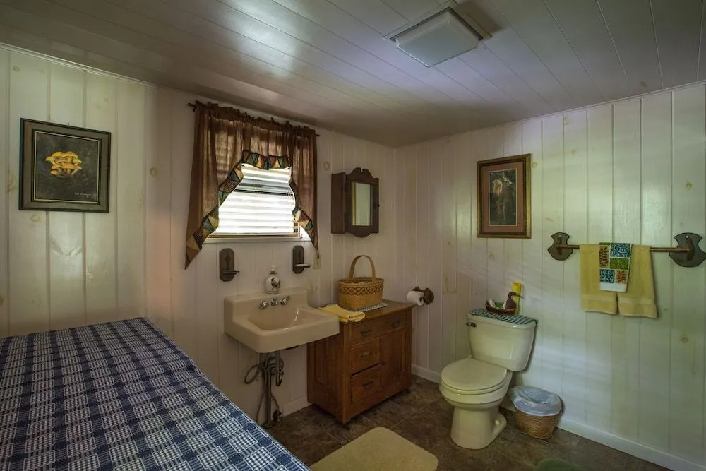 Lake Santeetlah Log Cabin