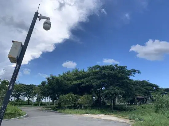 Sanya Father mark tribe