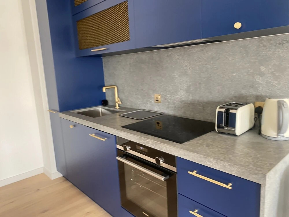 Luxury Apartment Minutes From Canning Town
