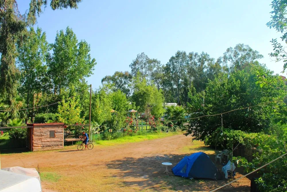 Medusa Camping