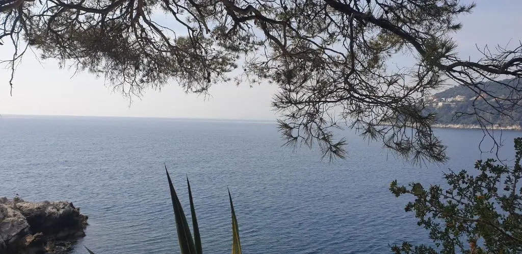Studio climatisé à proximité des plages et des commerces