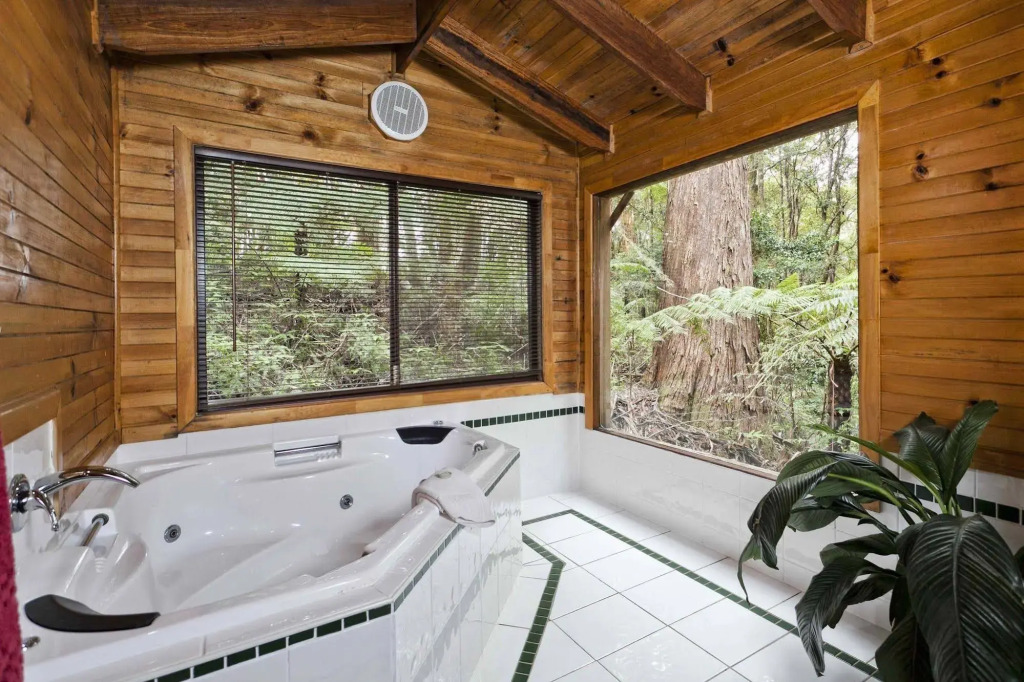 The Mouses House Rainforest Retreat