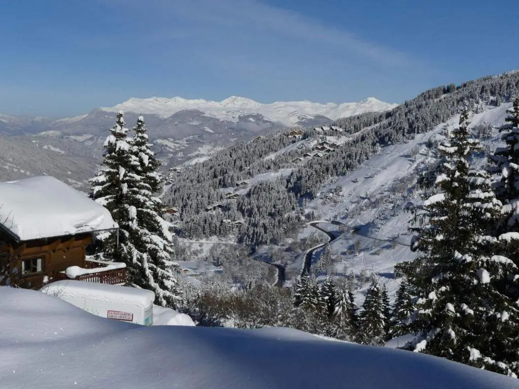 Appartement Méribel, 3 pièces, 6 personnes - FR-1-182-199