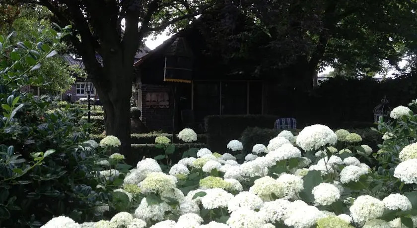 B & B de Vlinder