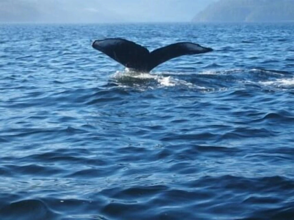 Nootka Island Lodge