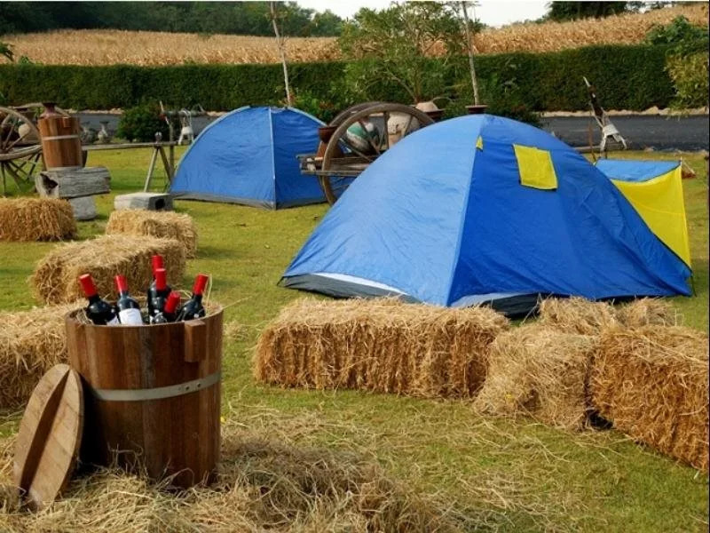 Lucky Farm Resort