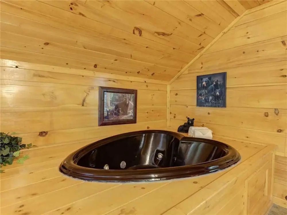 Bearadise 1 Bedroom Home with Hot Tub