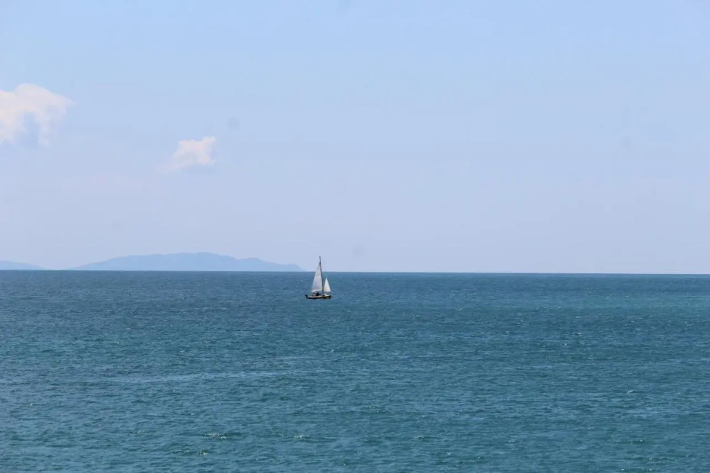 Arcadia 55