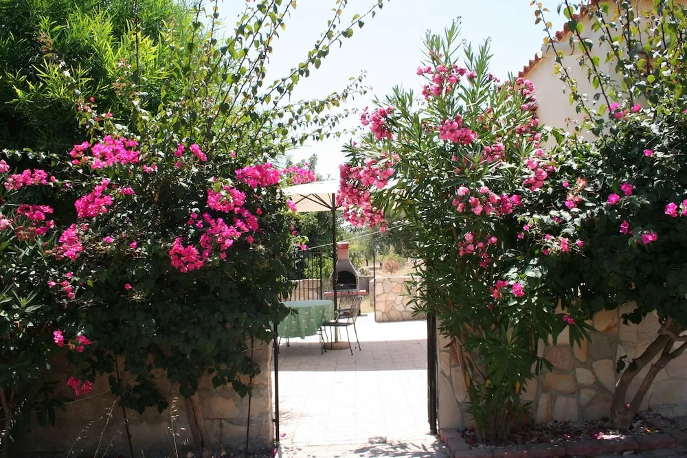 Cozy Villa Ambra Between Olive Trees, in Noto