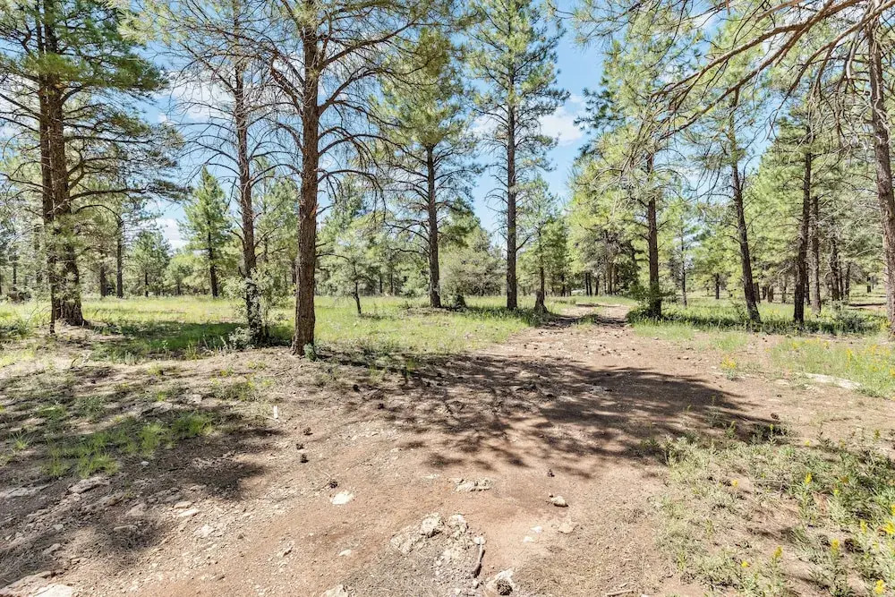 Butler Flagstaff