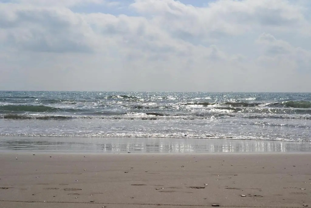 AGH Canet