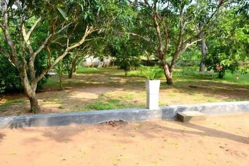 Wilpattu Lake View Bungalow
