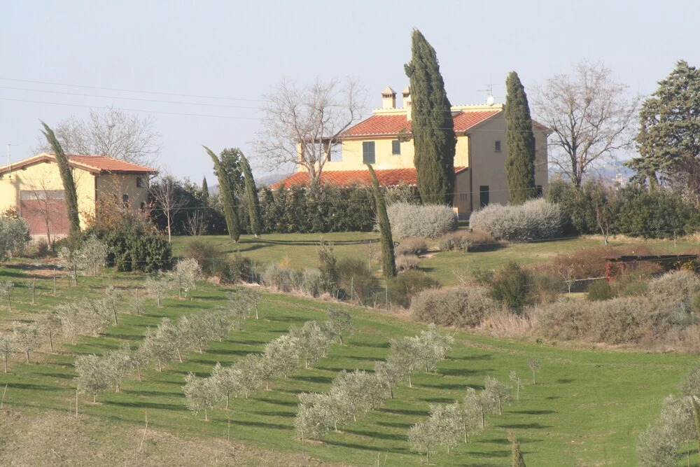 The House With Terrace