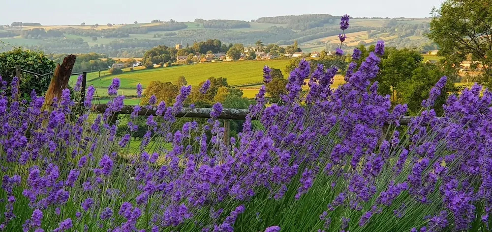 The Rock self-catering holiday cottage and garden lodges
