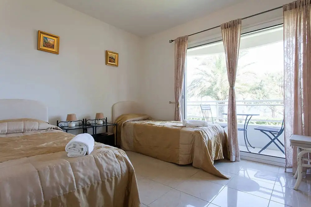 Royal Palm 127