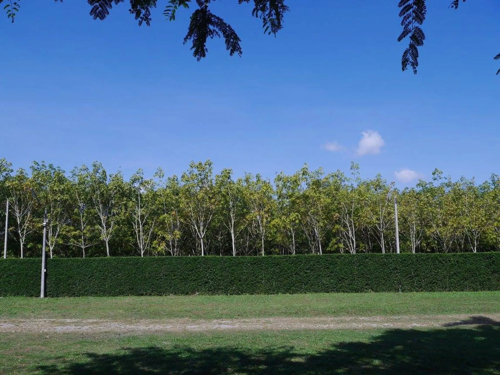 Klangsuan Resort กลางสวน รีสอร์ท แกลง