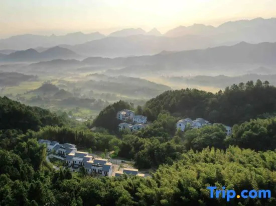 Blossom Hill Jiuhua Mountain Moshang Wujian