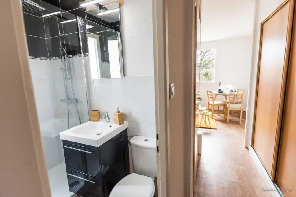 Appartement T2 - Proche Gare - Bord de Vilaine