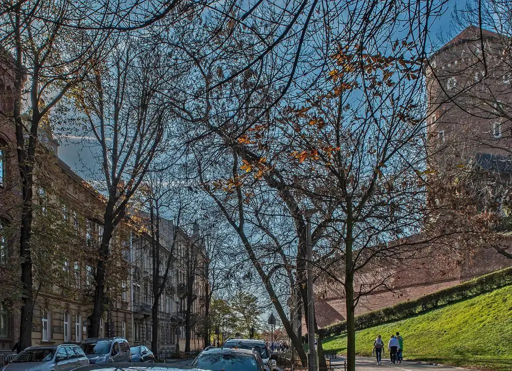 3D WAWEL Apartament