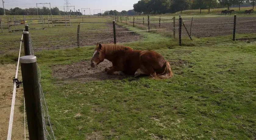 Welkom op de Mildert
