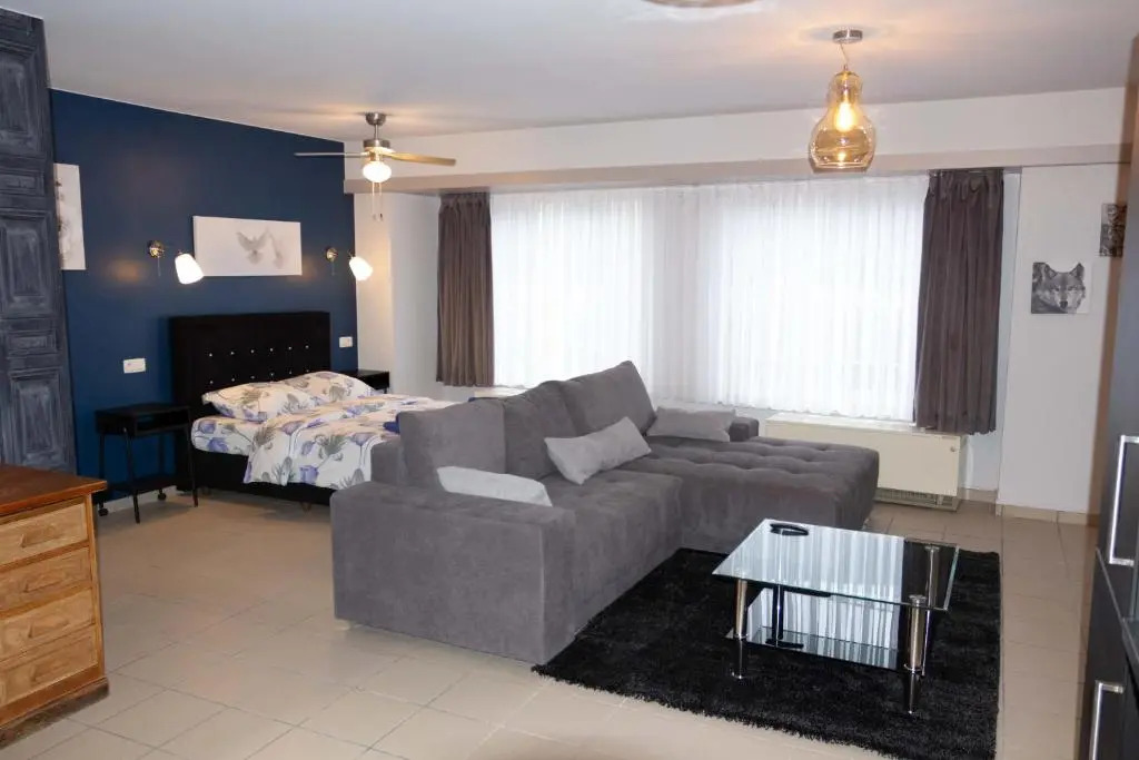 Renovated Apartment in Antwerp