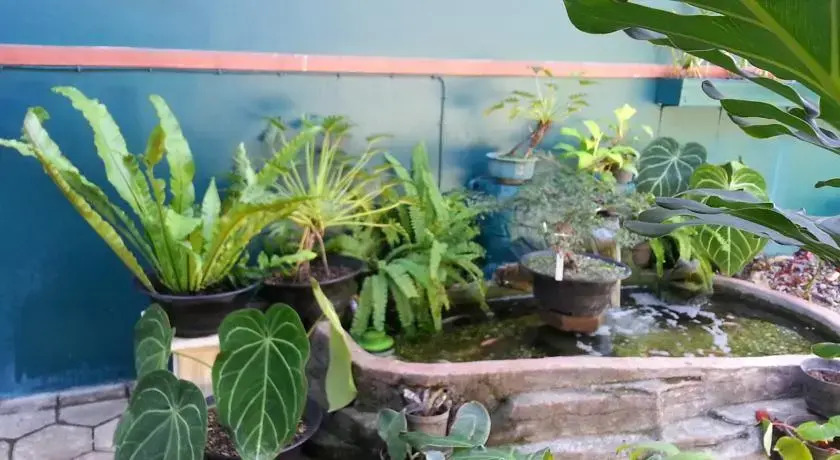 Rumah Utama