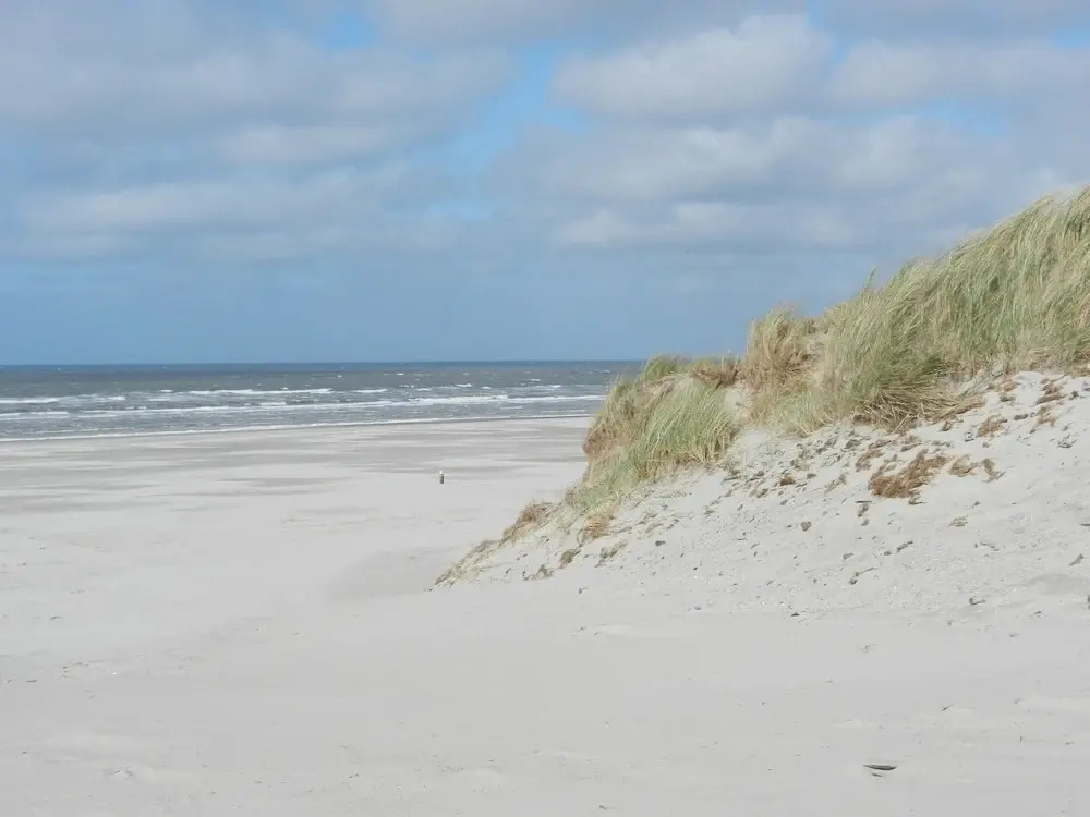 Holiday Home Ameland near North Sea Beach