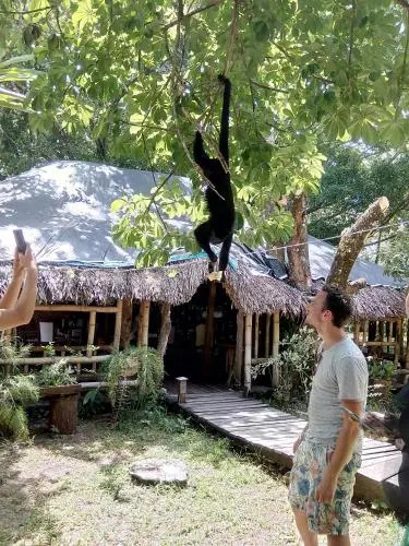 Casa Bambutan